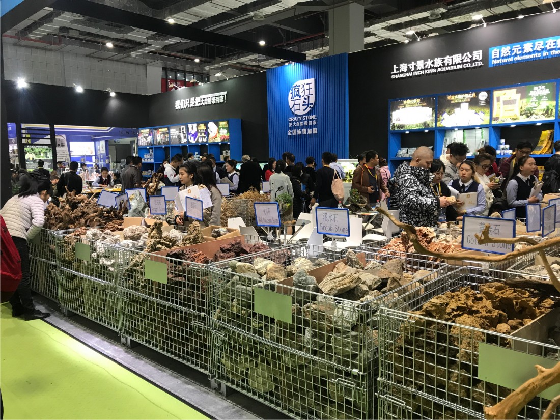 照片集錦