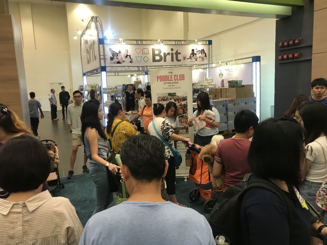 照片集錦