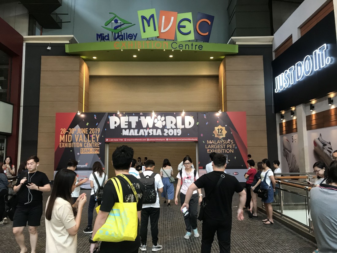 照片集錦