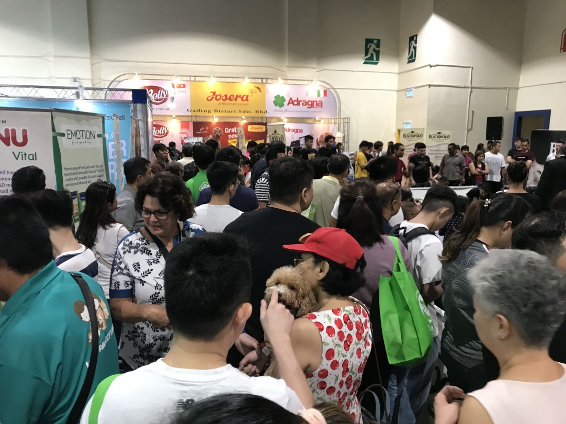 照片集錦