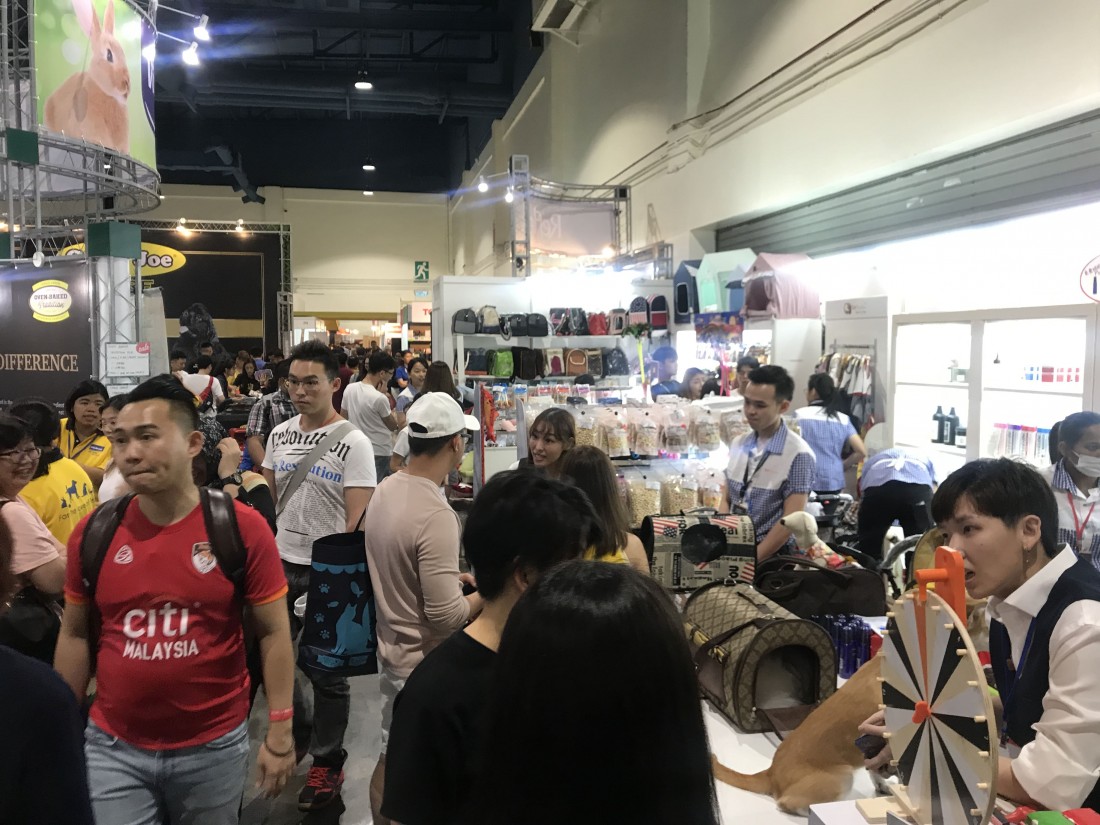 照片集錦